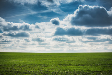 Fototapeta na wymiar Green wheat field and cloudy day