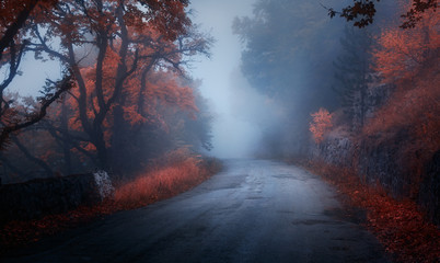 Fototapeta premium Mystical autumn forest with road in fog. Fall misty woods. Colorful landscape with trees, rural road, orange and red foliage, blue fog. Magical road. Autumn background. Magic dark forest. Fairytale