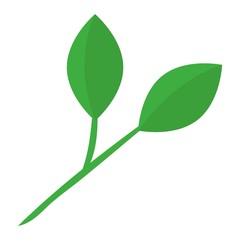 Leaf icon vector illustration.