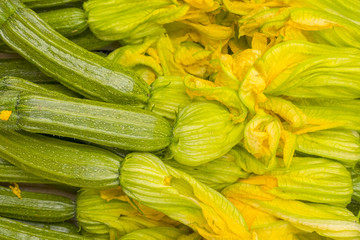 Zucchini and Flowers