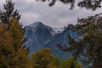Herbstwald mit Blick auf Karkopf, Ötztal