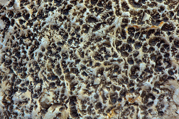 Background texture of stone.