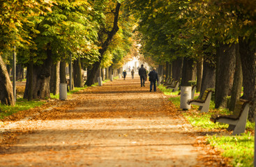 Autumn in the park
