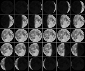 Naklejka premium Moon 30 day phases