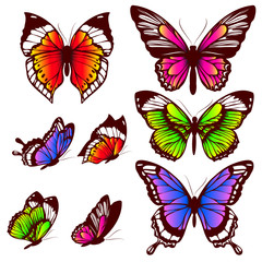 Fototapeta na wymiar color butterflies,isolated on a white