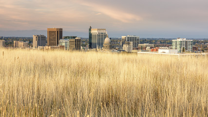 Unique skyline of Boise Idaho with grasses