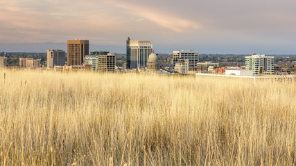 Fototapeta premium Unique skyline of Boise Idaho with grasses