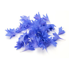 Blue Cornflower Herb or bachelor button flower petals isolated o