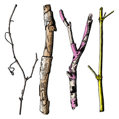 Hand painted wood twig set, ink rustic design elements collection. Dry wood tree branch and wooden twig bundle. Detailed and precise watercolor imitation driftwood twigs set. 