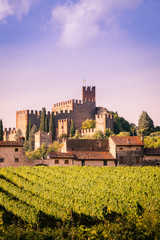 Fototapeta na wymiar View of Soave (Italy) and its famous medieval castle
