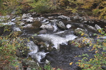 Rapids and Rocks through Autumn colors