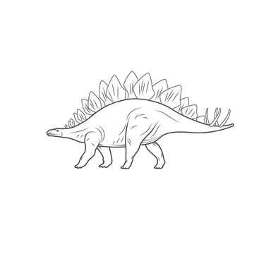Dinosaurs illustrations on white background. Vector