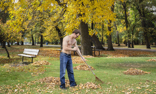 horizontal image of a shirtless young man out in the park raking up leaves on a beautiful warm day in the fall.