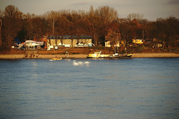 Fototapeta premium Herbst am Rhein / Hausboote, Yachten und Motorboote eines Binnenhafens am Fluss Rhein im Rhein.