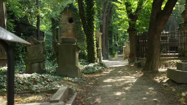 Slowly backing down a lane in the Olsany Cemetery in Prague, Czech Republic.  Sun covered leaves overhead. 4k.
