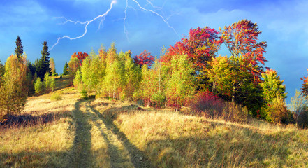 In the Carpathians, golden autumn