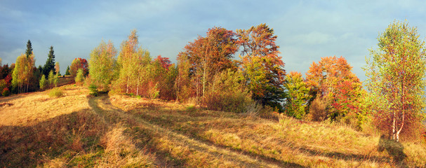 In the Carpathians, golden autumn