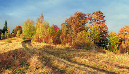 In the Carpathians, golden autumn