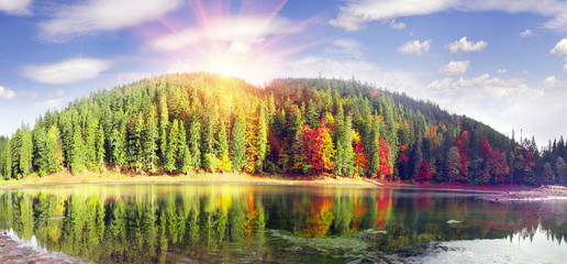 Synevir lake autumn colors