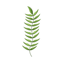 green stem with many leaves vector illustration