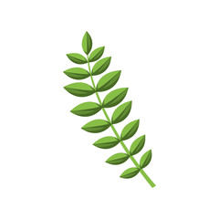 green stem with many oval leaves vector illustration