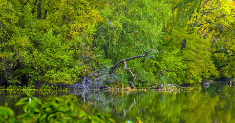 Lake, Central Park, New York 
