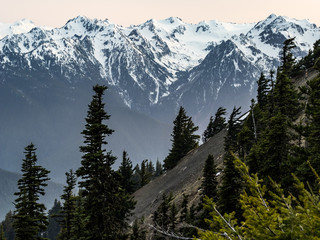 Hurricane Ridge