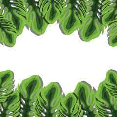 green tropical leaves frame over white background. vector illustration