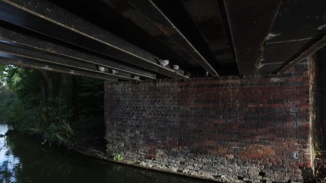 Pigeons under a canal bridge.