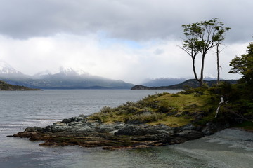 The national Park "Tierra del Fuego".
