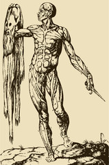 Fototapeta na wymiar The Creation of Man illustration / Michelangelo [vector]