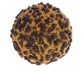 cookies with chocolate chips on a white background