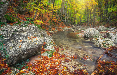 Beautiful autumn landscape with mountain river and colorful tree