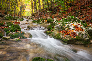 Beautiful autumn landscape with mountain river and colorful trees