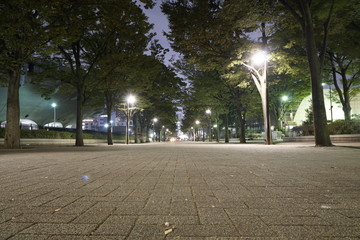 真実の街