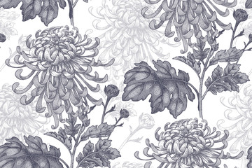Nahtloses Muster mit Blumen der Chrysantheme. © marinavorona