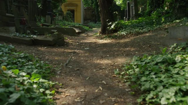 Walking down a path in a cemetery lined by headstones and trees.  A tomb is seen in the distance. Prague, Czech Republic. 4k.