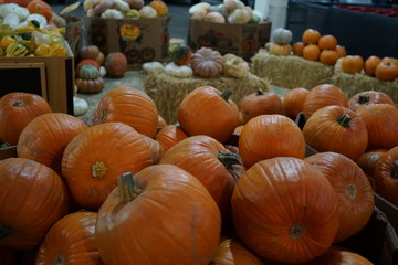 ハロウィン　かぼちゃ　市場　カボチャ　南瓜