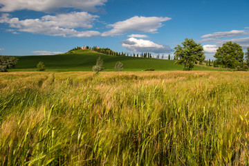 Tuscan  countryside 