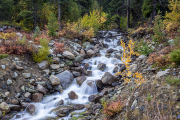 Varden Creek in Washington.