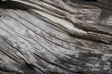 Old Wood Texture for Background.