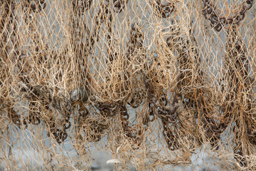Fishing net  hanging