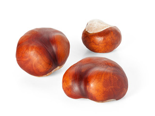 Isolated chestnuts on a white background