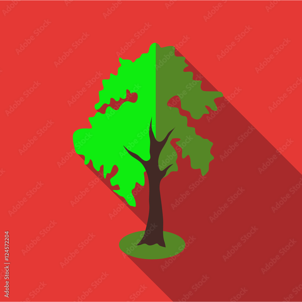 Poster fluffy tall tree icon. flat illustration of fluffy tall tree vector icon for web