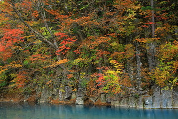 八幡平　玄武岩の紅葉
