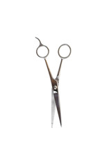 Haircutting Scissors. Studio isolation on white