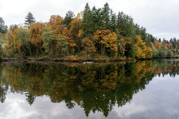 Fototapeta na wymiar Fall Color in Washington State with Seasonal Trees and a Lake