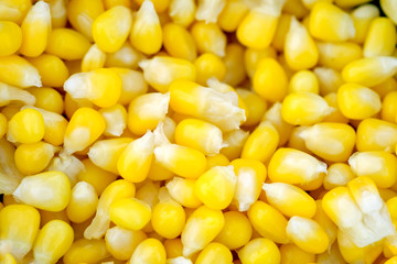 Boiled corn seeds yellow close up pattern