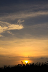 the sunset in the beach / A view of the sunset sky in the beach over the Wire entanglement, korea 