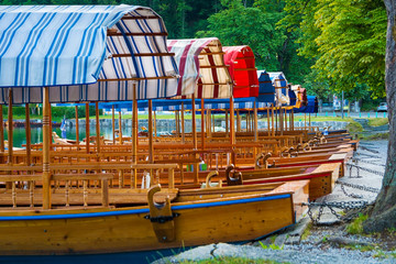 Closeup of pletna boats dock under a lakeside tree on Lake Bled,